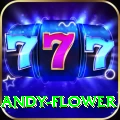 andy flower Plus v2.1.9