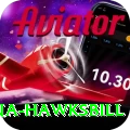 antigua hawksbill Master Pro v1.9.7