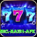 bbl big bash apk Master Pro v5.9.8