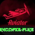 bingopkr Apps (Tools & Injectors) Pro v1.6.5