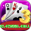 chhusang fossil hill Pro v2.3.1