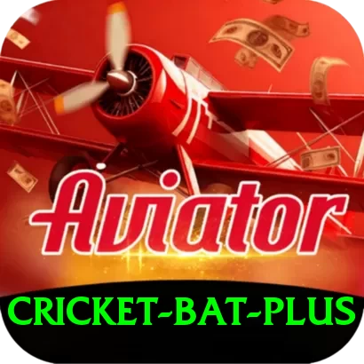 cricket bat Game King v5.0.7 - 2