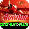 cricket bat Game King v5.0.7