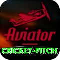 cricket pitch Gold Pro v2.2.6