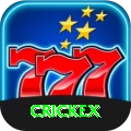 crickex Elite vv2.9.4