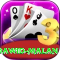 dawid malan VIP Edition v4.8.8