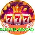 dwayne bravo Apps (Tools & Injectors) Premium v1.2.3