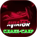 grass carp Master Pro v1.5.9