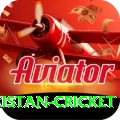 india pakistan cricket Deluxe v5.9.6