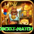 india pakistan cricket match Max v2.1.4