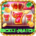 international cricket match Gold Pro v5.1.1