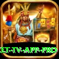 live cricket tv app Ultimate APK v1.3.8