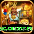 make money betting cricket pk Premium Plus v2.7.9