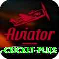 mobile cricket Casino Official v2.2.1