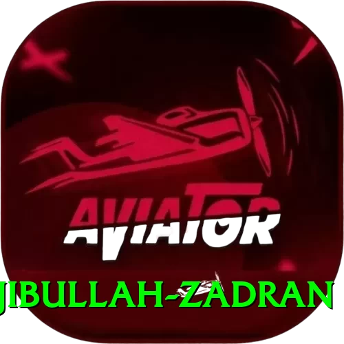 najibullah zadran - 2