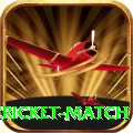 next cricket match Deluxe Pro v1.6.7