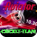 pakistan women cricket team Plus Pro v2.6.4