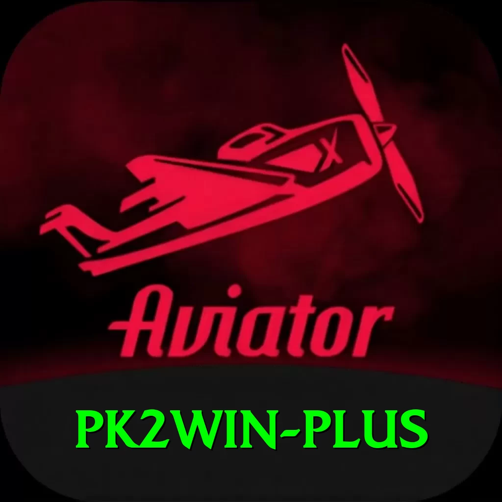 pk2win Elite v5.1.6 - 2