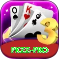 pkzz Pro1 v1.4.1