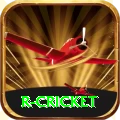 r cricket Pro1 v1.6.1