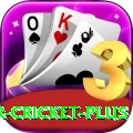 r cricket Pakistan Champion v5.4.2