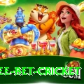 risk free bet cricket Plus Edition v4.8.2