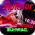 sehwag Master Pro v3.2.9