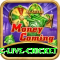 smartcric live cricket Turbo Pro v3.1.1