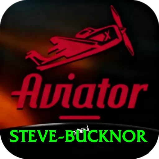 steve bucknor Deluxe Edition v4.3.7 - 2