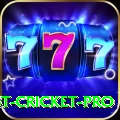 test cricket Gaming Mega
