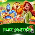 test match VIP v3.3.1