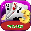 wc t20 VIP Pro v1.5.4