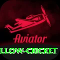 willow cricket Premium v3.1.3
