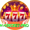 willow cricket King v1.5.3